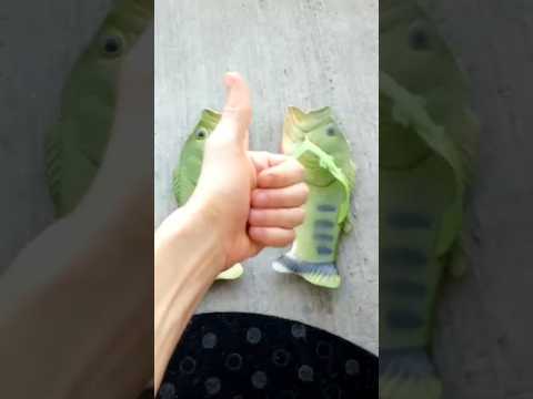 I paid $20 for fish slippers